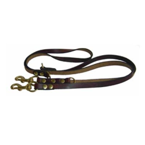 Dog Leads